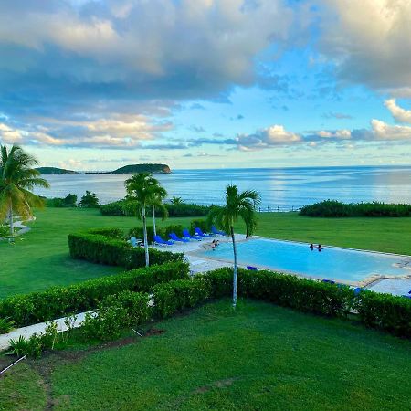 Blue Horizon Boutique Resort (Adults Only) ビエケス エクステリア 写真