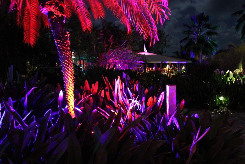 Blue Horizon Boutique Resort (Adults Only) ビエケス エクステリア 写真