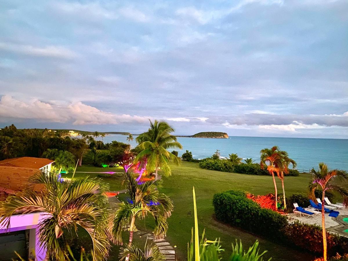 Blue Horizon Boutique Resort (Adults Only) ビエケス エクステリア 写真