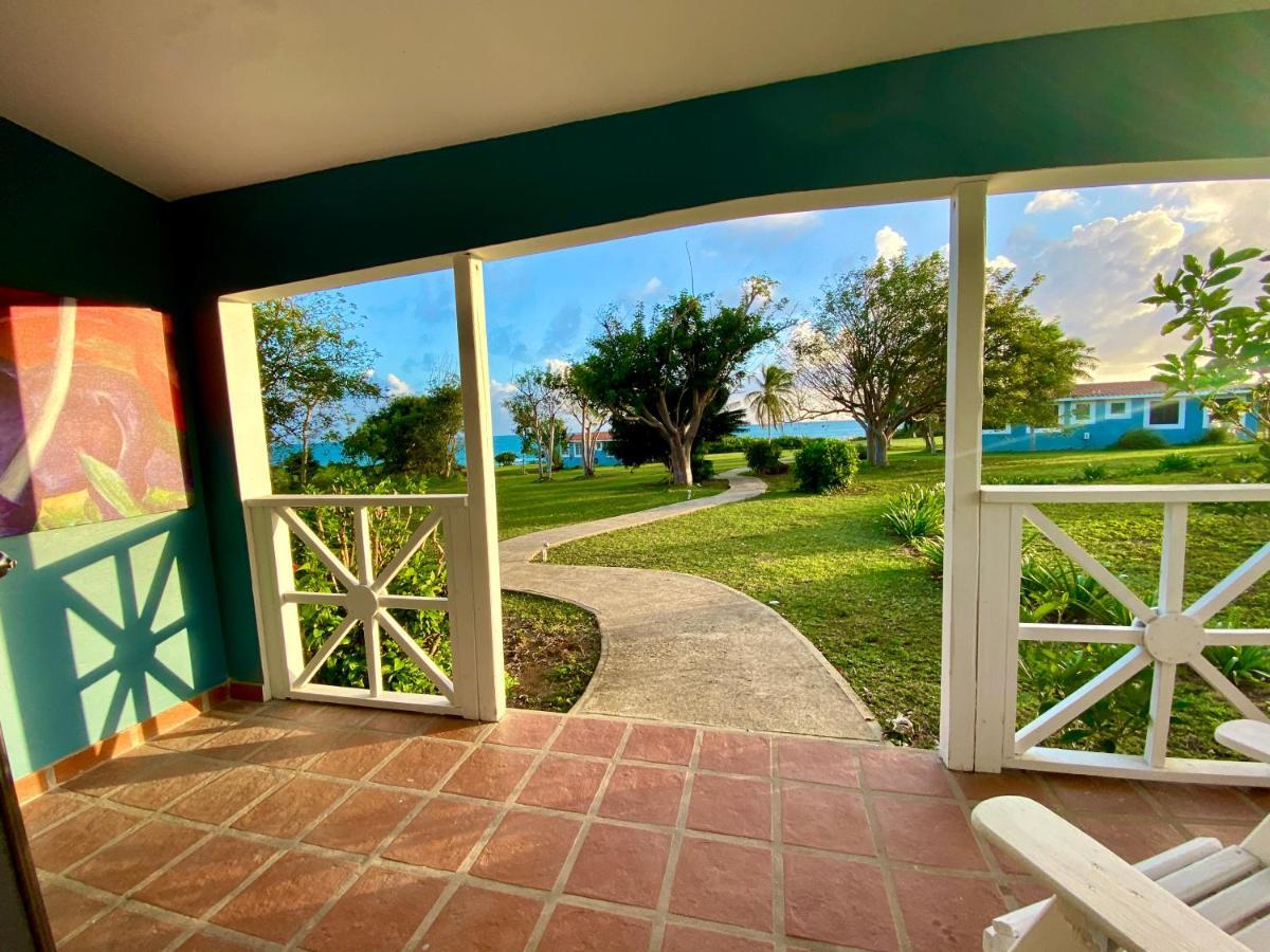 Blue Horizon Boutique Resort (Adults Only) ビエケス エクステリア 写真
