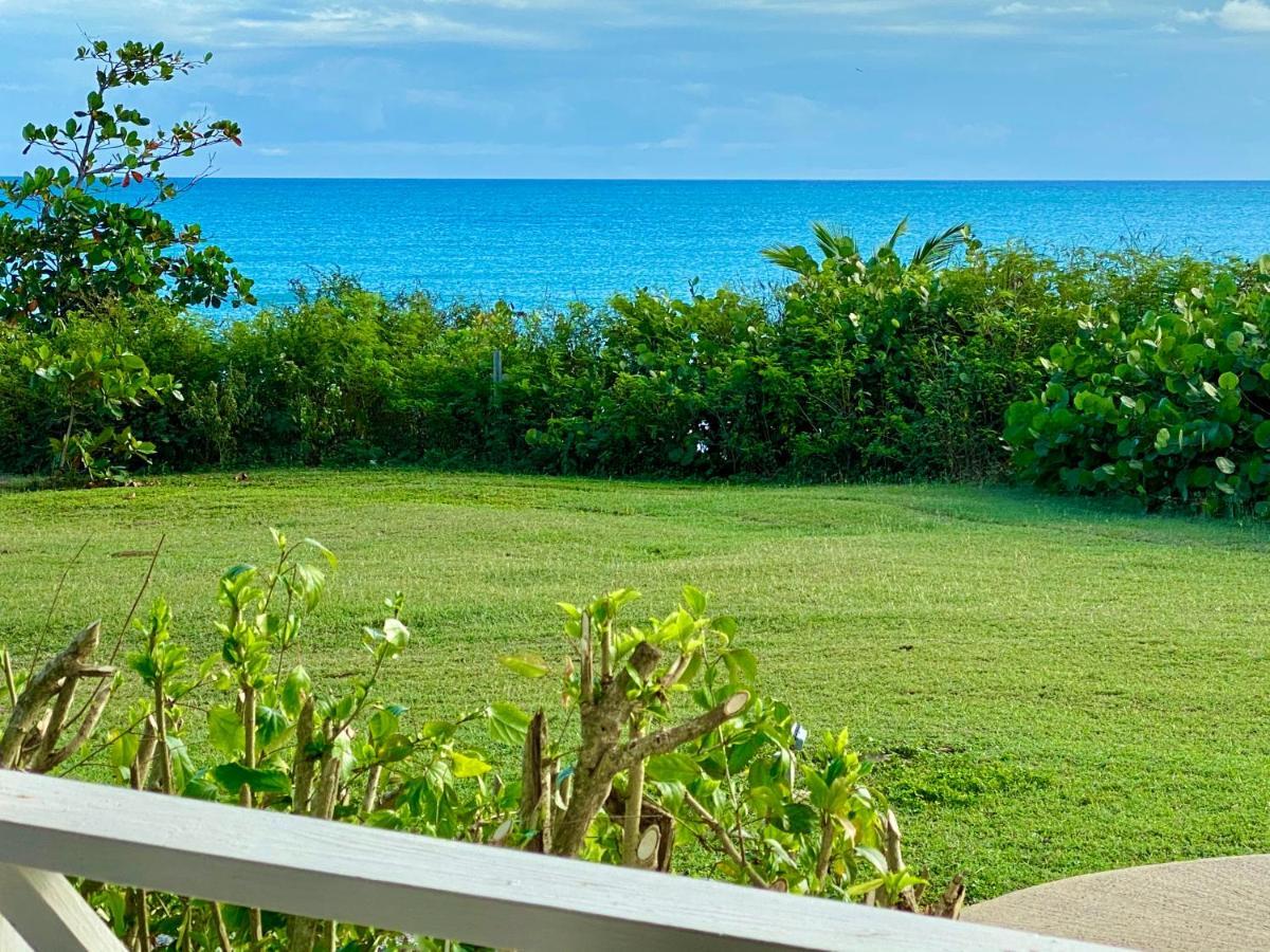 Blue Horizon Boutique Resort (Adults Only) ビエケス エクステリア 写真