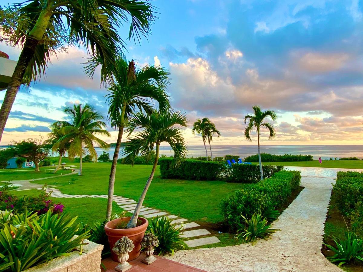 Blue Horizon Boutique Resort (Adults Only) ビエケス エクステリア 写真