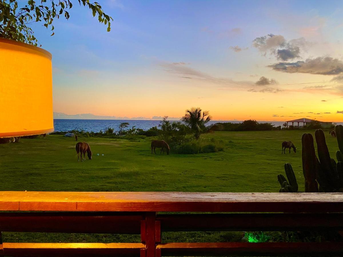 Blue Horizon Boutique Resort (Adults Only) ビエケス エクステリア 写真