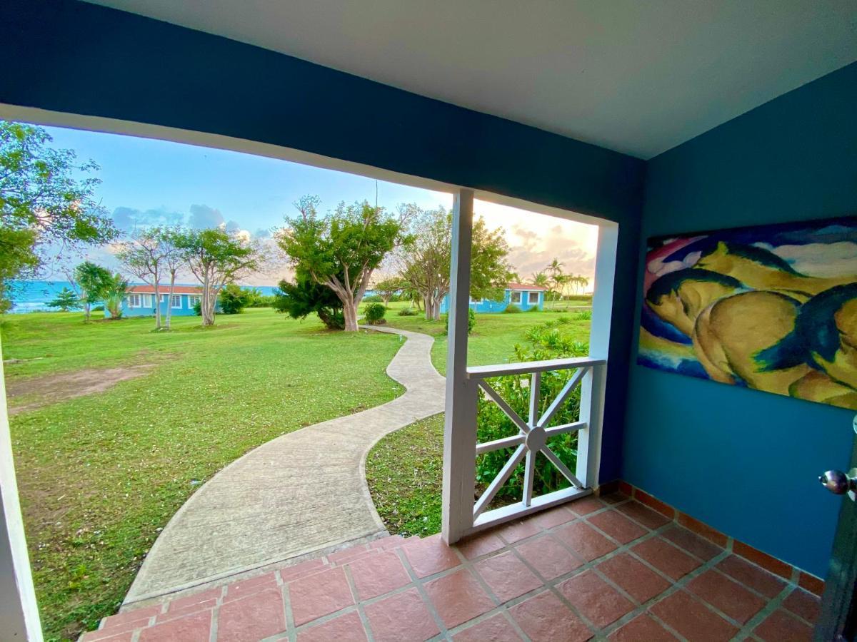 Blue Horizon Boutique Resort (Adults Only) ビエケス エクステリア 写真