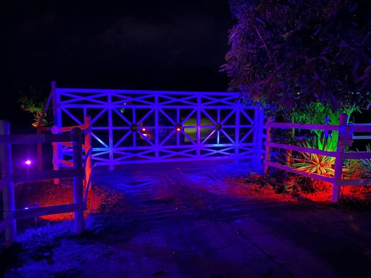 Blue Horizon Boutique Resort (Adults Only) ビエケス エクステリア 写真