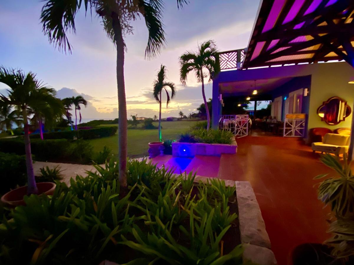 Blue Horizon Boutique Resort (Adults Only) ビエケス エクステリア 写真